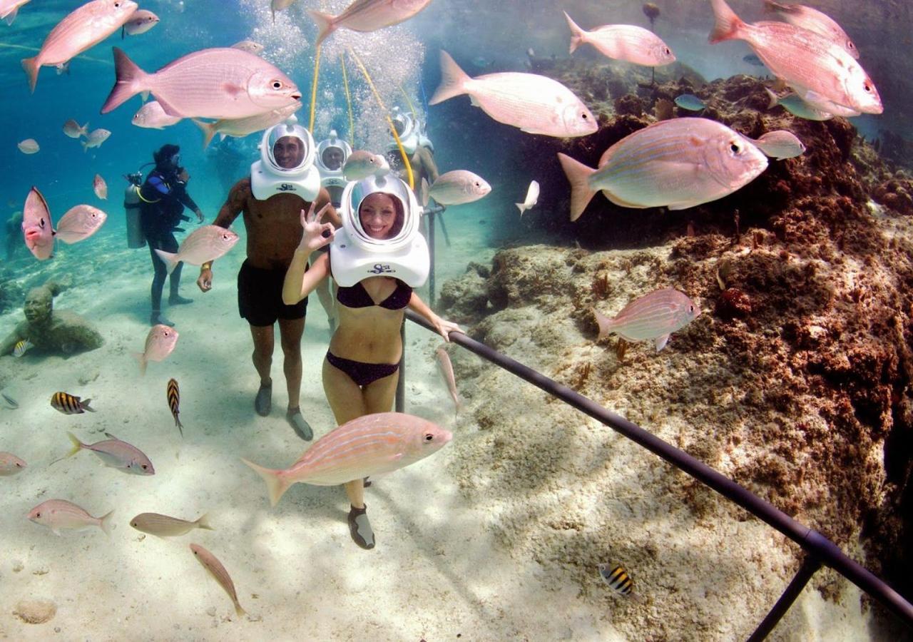 Acuarium Ii-22º Daire Benidorm Dış mekan fotoğraf