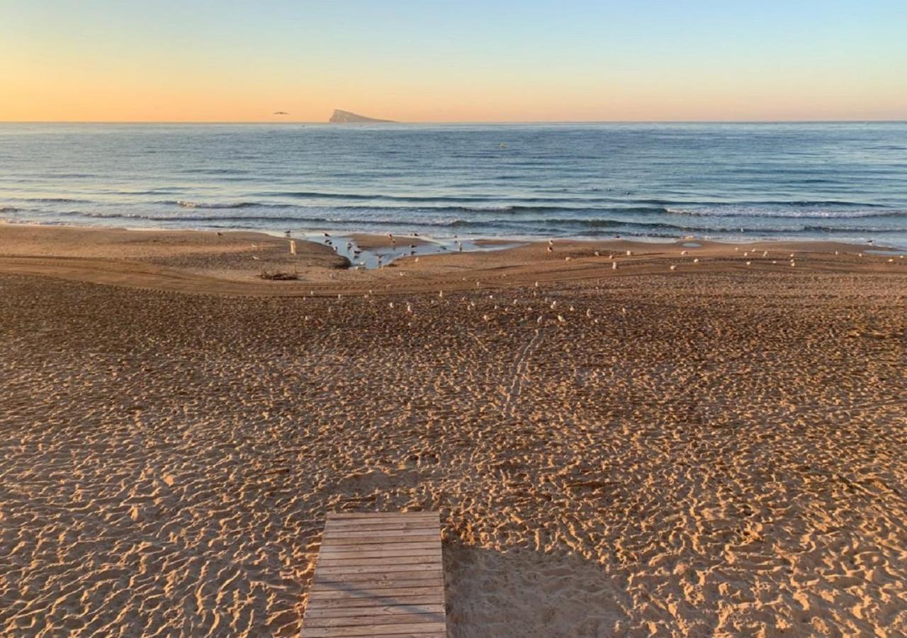 Acuarium Ii-22º Daire Benidorm Dış mekan fotoğraf